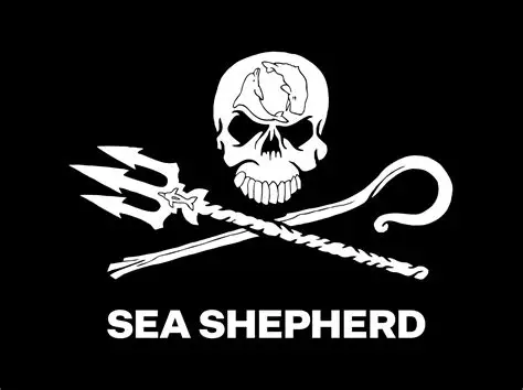Sea Shepherd flag