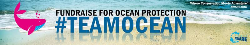 Fundraise for ocean protection